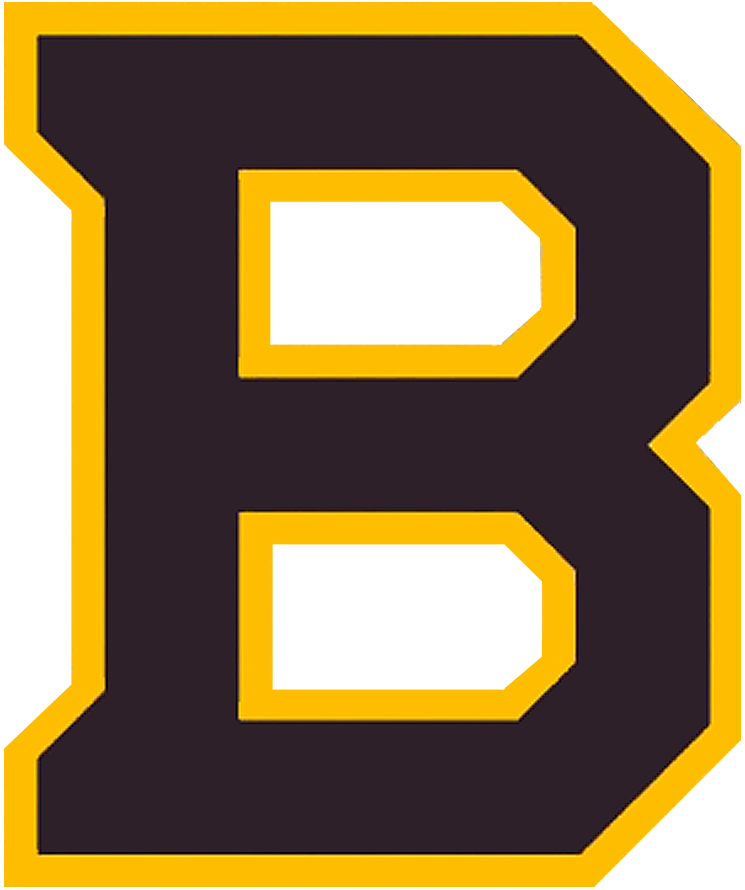 Boston Bruins 2019 Special Event Logo t shirts iron on transfers